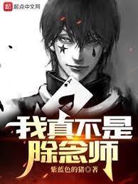 (全職獵人同人)獵人:我真不是除念師
